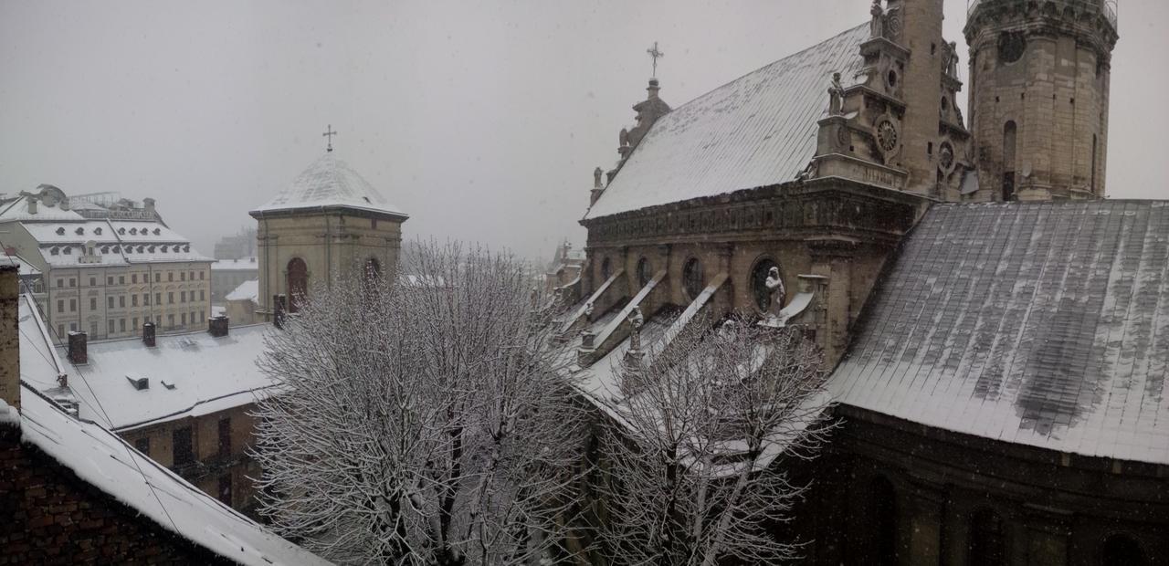 Lviv Amazing Rooftop Apartment Eksteriør billede