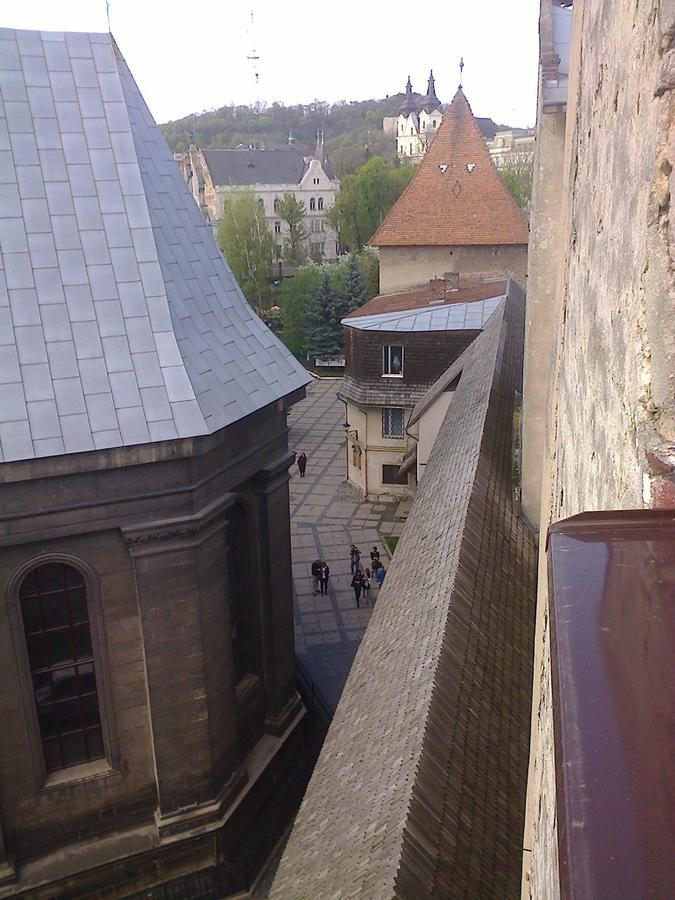 Lviv Amazing Rooftop Apartment Eksteriør billede
